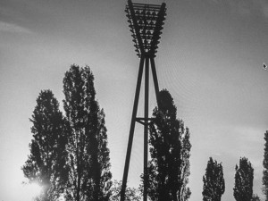 IMG_3910