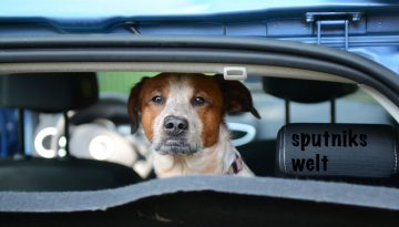 sputti_auto