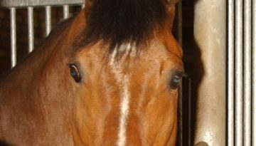 Barbara-Ellen-Volkmer-00223