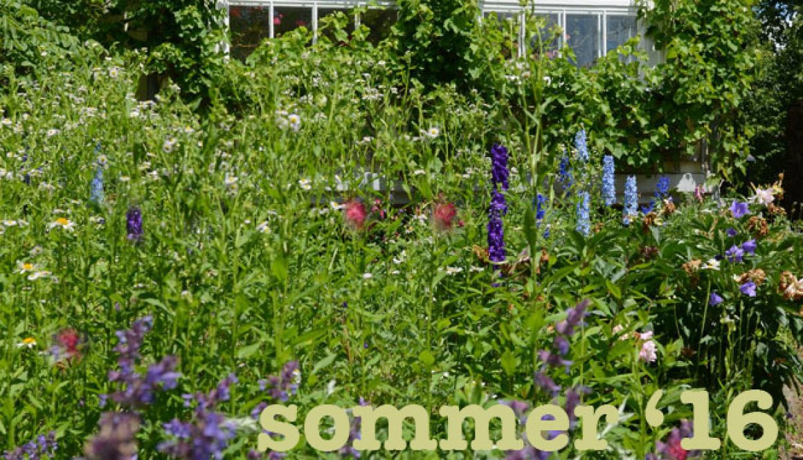 sommer 16