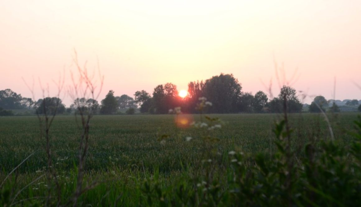 DSC_0095