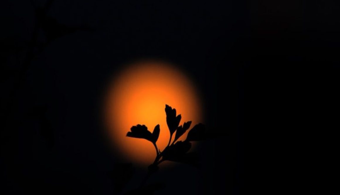 DSC_5821_inPixio