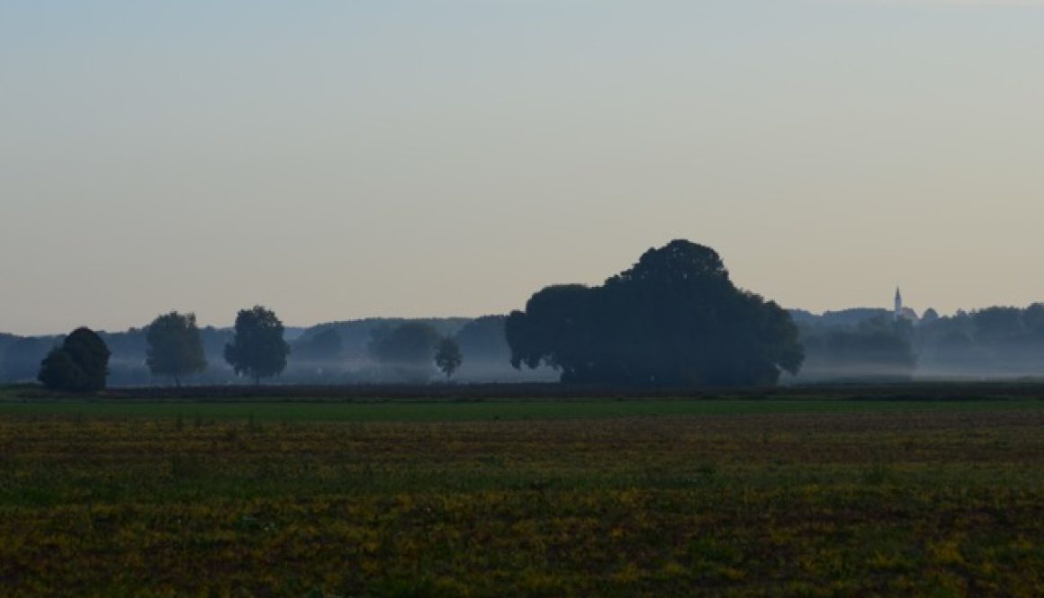 DSC_6171