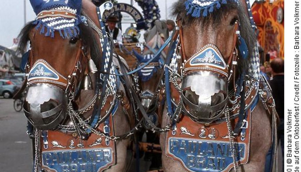 Credit / Fotozeile : Barbara Volkmer /